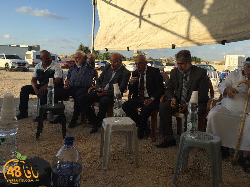 wafd slolteaj (3).jpeg